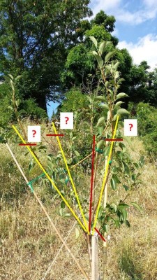 Immagine1.jpg (98.67 KiB) Osservato 690 volte Immagine1.jpg