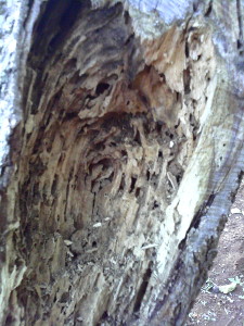 2014-08-11 18.54.03.jpg 2014-08-11 18.54.03.jpg