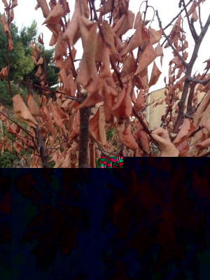 image.jpg (191.45 KiB) Osservato 509 volte image.jpg