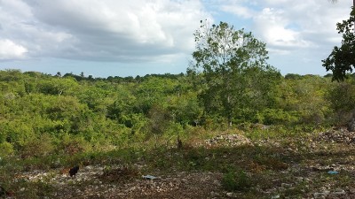 2014-08-04 16.52.44.jpg (210.26 KiB) Osservato 763 volte 2014-08-04 16.52.44.jpg