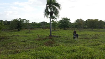 2014-08-04 17.50.22.jpg (174.19 KiB) Osservato 763 volte 2014-08-04 17.50.22.jpg