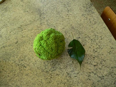 P1010851.JPG (179.71 KiB) Osservato 572 volte P1010851.JPG