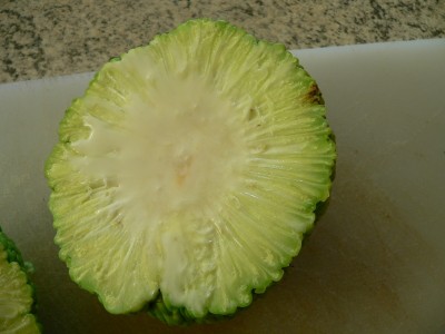 P1010856.JPG (156.75 KiB) Osservato 572 volte P1010856.JPG