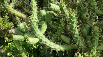 1.jpg (62.2 KiB) Osservato 696 volte 1.jpg