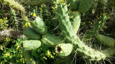 2.jpg (57.35 KiB) Osservato 696 volte 2.jpg