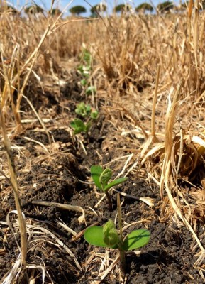 image.jpeg (172.17 KiB) Osservato 3216 volte image.jpeg