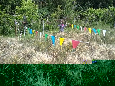 270520164557.jpg (86.51 KiB) Osservato 1735 volte 270520164557.jpg