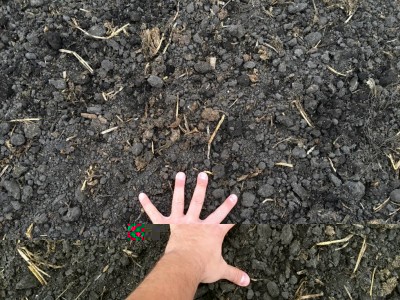 image.jpeg (234.07 KiB) Osservato 1713 volte image.jpeg