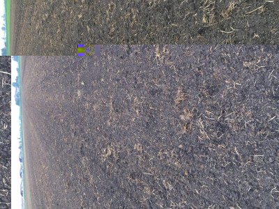 image.jpeg (225.72 KiB) Osservato 1713 volte image.jpeg