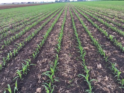 image.jpeg (255.55 KiB) Osservato 1713 volte image.jpeg