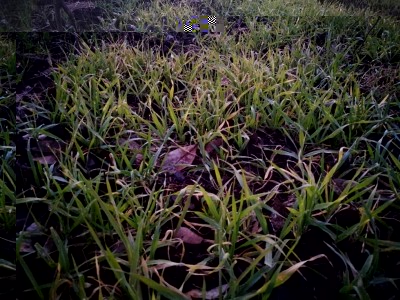 IMG_20161209_170230.jpg (170.38 KiB) Osservato 3530 volte IMG_20161209_170230.jpg