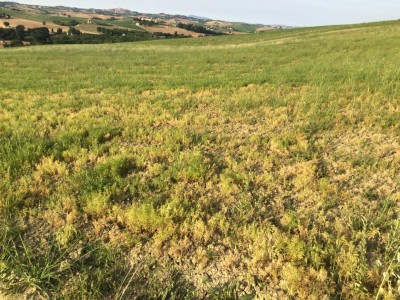 122.JPG (224.95 KiB) Osservato 1279 volte 122.JPG