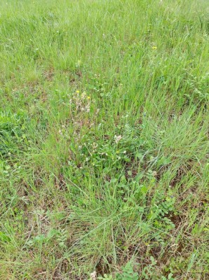 imgpsh_fullsize_anim.jpg (254.79 KiB) Osservato 2209 volte imgpsh_fullsize_anim.jpg