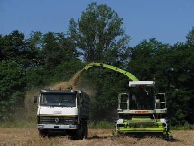 trinciatura silo secco.JPG (88.62 KiB) Osservato 3109 volte trinciatura silo secco.JPG