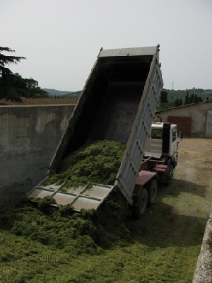 scarico silo verde.JPG (69.73 KiB) Osservato 3244 volte scarico silo verde.JPG