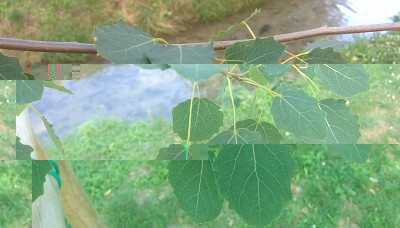 . / IMG_20150620_154726.jpg IMG_20150620_154726.jpg