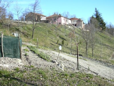 la crescita del bosco in sette anni / casa orto 10.03.09 5.JPG casa orto 10.03.09 5.JPG