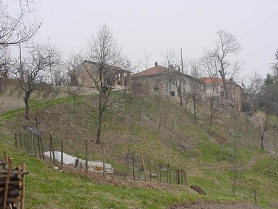 terr.17.3.02.JPG (83.22 KiB) Osservato 1150 volte terr.17.3.02.JPG