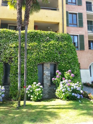 aaaaaaa.jpg (315.39 KiB) Osservato 1113 volte aaaaaaa.jpg