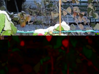 22.11.2015 prima mattina / 5.jpg 5.jpg