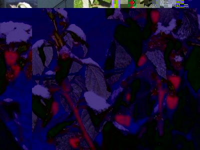 3.jpg (48.28 KiB) Osservato 11978 volte 3.jpg