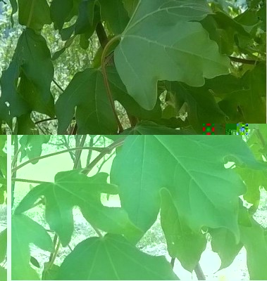 1.JPG (53.2 KiB) Osservato 1566 volte 1.JPG