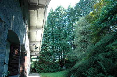 cipressi.jpg (190.8 KiB) Osservato 1635 volte cipressi.jpg