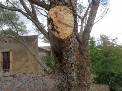 DSC00601.JPG (147.27 KiB) Osservato 1379 volte DSC00601.JPG