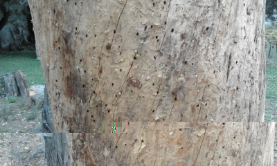 20161007_084151.jpg (115.41 KiB) Osservato 1264 volte 20161007_084151.jpg