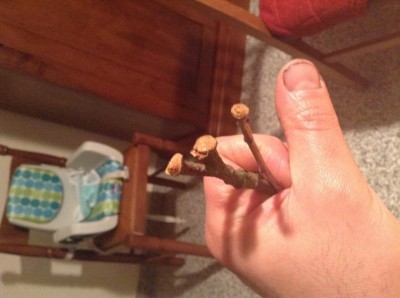 image.jpg (76.52 KiB) Osservato 1155 volte image.jpg