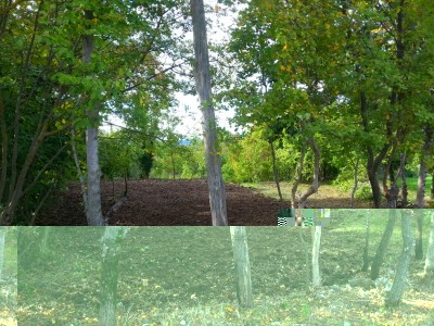 03000092.jpg (214.78 KiB) Osservato 1527 volte 03000092.jpg