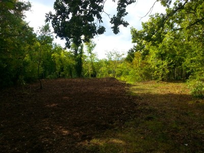 03000093.jpg (187.42 KiB) Osservato 1526 volte 03000093.jpg