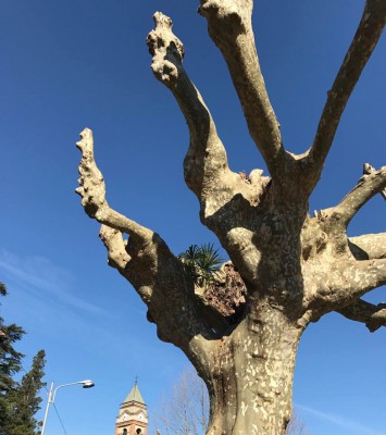 17309085_1530422050310752_6719580942903255670_n.jpg (275.39 KiB) Osservato 2362 volte 17309085_1530422050310752_6719580942903255670_n.jpg