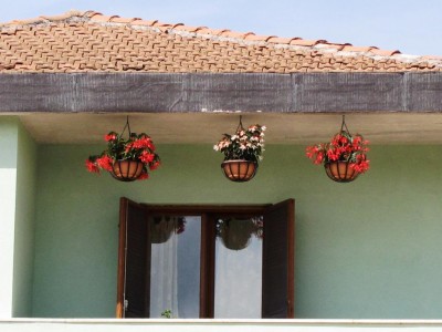 IMG_9561.JPG (95.14 KiB) Osservato 10883 volte IMG_9561.JPG