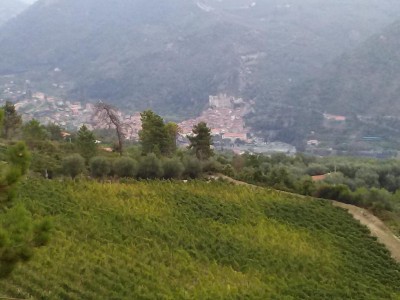 Dolceacqua.jpg (87.25 KiB) Osservato 1856 volte Dolceacqua.jpg