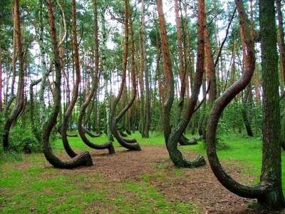 CylHbaCXUAAlDb9.jpg (189.24 KiB) Osservato 1907 volte CylHbaCXUAAlDb9.jpg