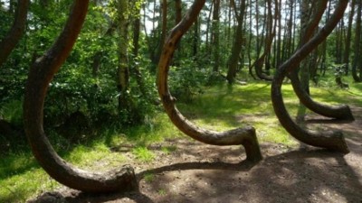 1823190_1479406548-kOoH-UeAmmUZ21O9fmAD-1024x576@LaStampa.it.jpg (89.12 KiB) Osservato 1907 volte 1823190_1479406548-kOoH-UeAmmUZ21O9fmAD-1024x576@LaStampa.it.jpg