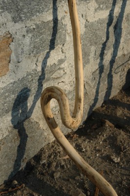 DSC_0222.jpg (146.44 KiB) Osservato 1651 volte DSC_0222.jpg