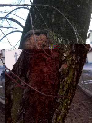 IMG_20180211_172822.jpg (104.6 KiB) Osservato 2116 volte IMG_20180211_172822.jpg