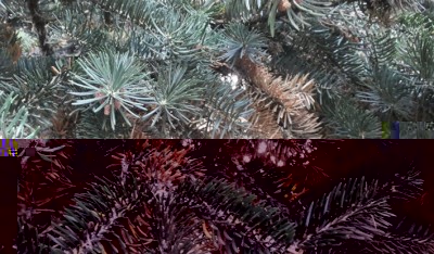 foto-5.jpg (117.22 KiB) Osservato 2222 volte foto-5.jpg