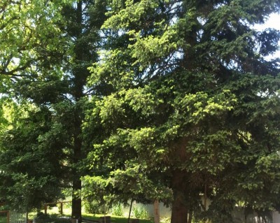 foto-6.jpg (190.59 KiB) Osservato 2194 volte foto-6.jpg