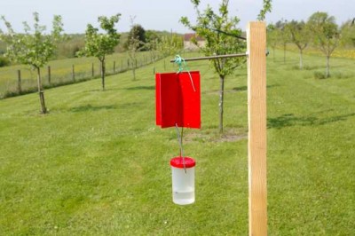 Xyleborus-piege-appareil.jpg (34.64 KiB) Osservato 3372 volte Xyleborus-piege-appareil.jpg