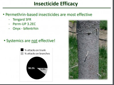 insetticidi.jpg