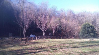 IMG_20180316_095558.jpg (123.77 KiB) Osservato 3363 volte IMG_20180316_095558.jpg