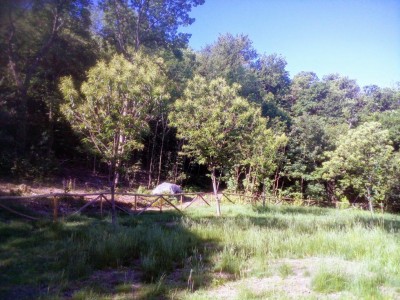 IMG_20170521_093103.jpg (182.67 KiB) Osservato 3363 volte IMG_20170521_093103.jpg