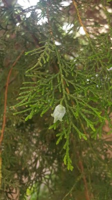 1.jpg (83.52 KiB) Osservato 802 volte 1.jpg