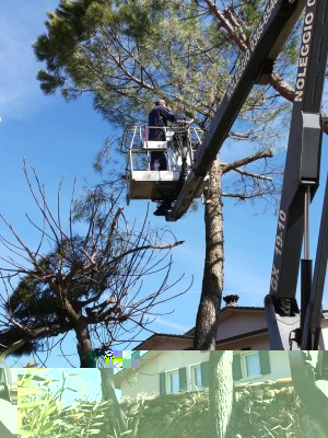 IMG_20180308_112021.jpg (186.34 KiB) Osservato 822 volte IMG_20180308_112021.jpg