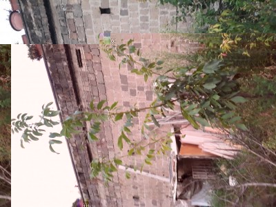 20180806_200452.jpg (119 KiB) Osservato 838 volte 20180806_200452.jpg