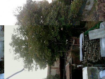 20180911_193037.jpg (128.28 KiB) Osservato 1052 volte 20180911_193037.jpg