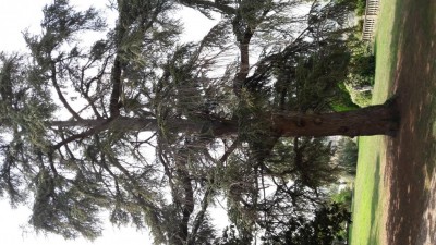 20180920_143655.jpg (159.5 KiB) Osservato 796 volte 20180920_143655.jpg